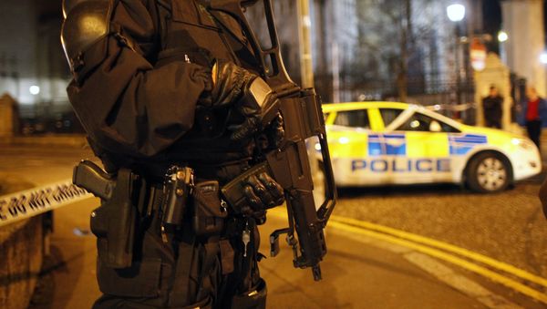 Irish police - Sputnik International