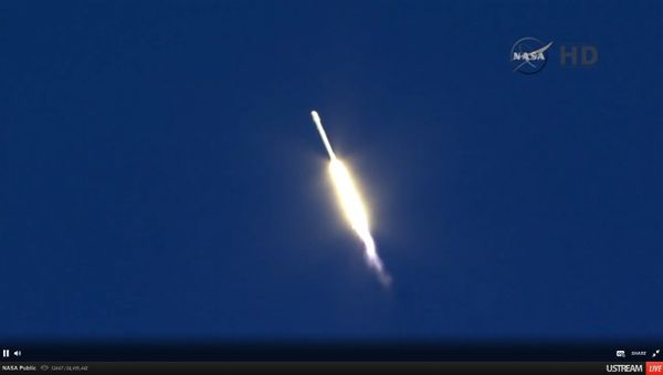 Third Time's the Charm for SpaceX Deep Space Mission Launch - Sputnik International