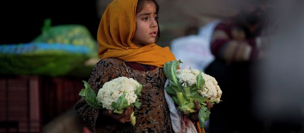 A Pakistani girl, who is displaced with her family from a Pakistani tribal area due to security forces' operations against militants, waits for customers to buy cauliflower at a fruit and vegetable market in Islamabad, Pakistan, Monday, Feb. 9, 2015. - Sputnik International
