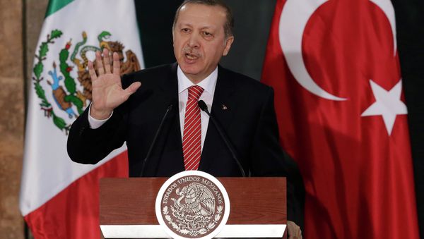 Turkey's President Tayyip Erdogan gives a speech to the media next to Mexico's President Enrique Pena Nieto (not pictured) during an official welcoming ceremony for Erdogan, at the National Palace in Mexico City February 12, 2015. Turkey's President Tayyip Erdogan gives a speech to the media next to Mexico's President Enrique Pena Nieto (not pictured) during an official welcoming ceremony for Erdogan, at the National Palace in Mexico City February 12, 2015. - Sputnik International