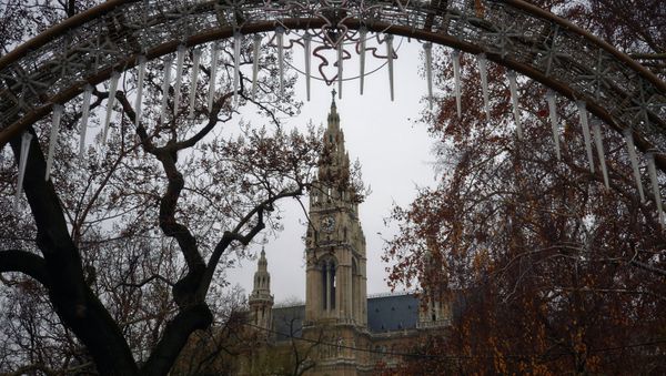 View of the town hall in Vienna - Sputnik International