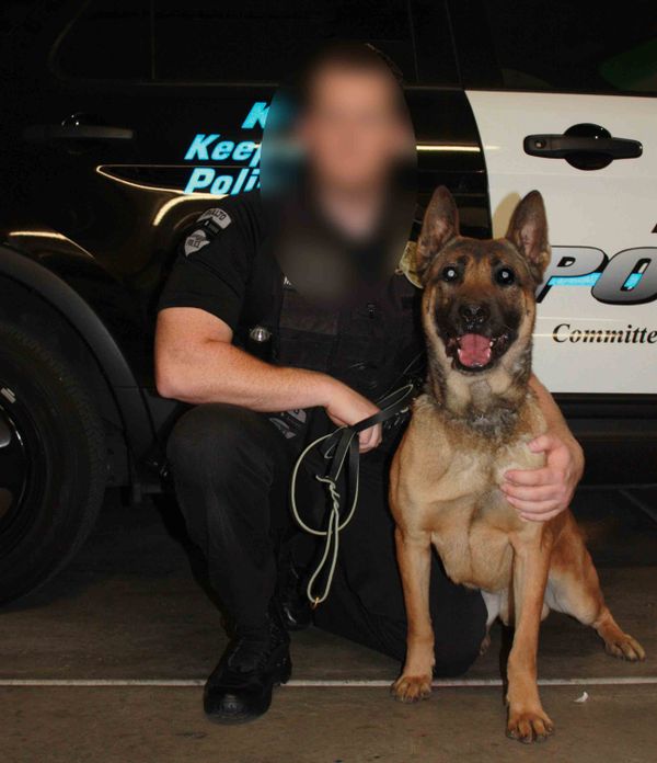 Jango the Police Dog Jango the Police Dog - Sputnik International