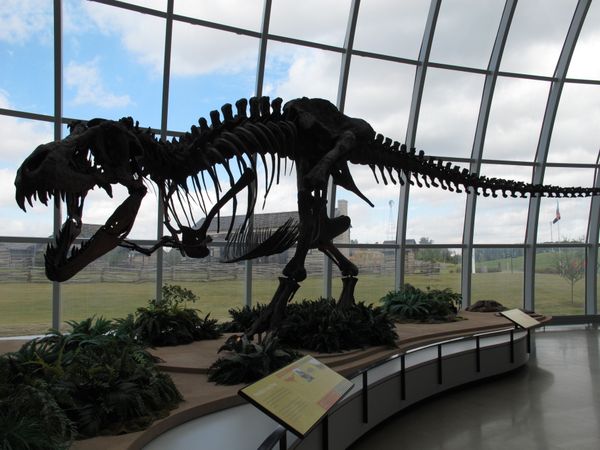 The skeleton of a dinosaur at Discovery Park of America in Union City, Tennessee. - Sputnik International
