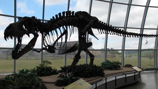 The skeleton of a dinosaur at Discovery Park of America in Union City, Tennessee. The skeleton of a dinosaur at Discovery Park of America in Union City, Tennessee. - Sputnik International