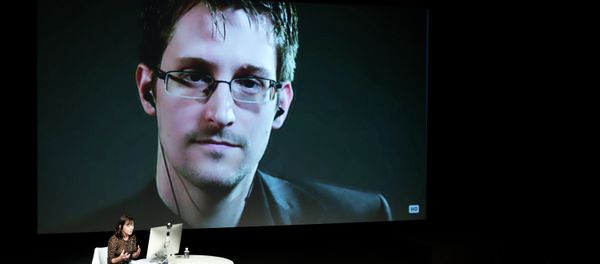 Snowden: NSA Surveillance About Control, Fight Against It About Democracy Snowden: NSA Surveillance About Control, Fight Against It About Democracy - Sputnik International