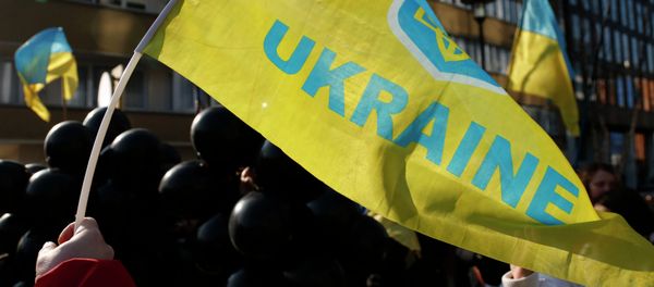 Demonstrator waves a Ukrainian flag - Sputnik International