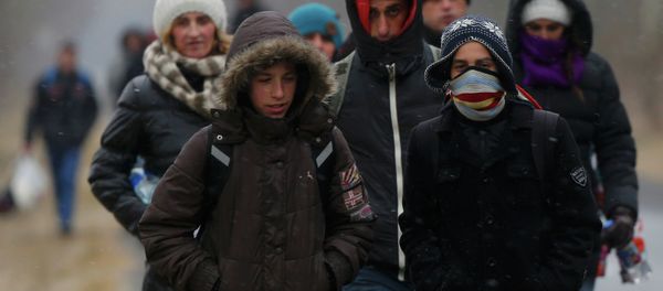 A group of Kosovars walk along a road after having illegally crossed the Hungarian-Serbian border near the village of Asotthalom February 6, 2015 - Sputnik International