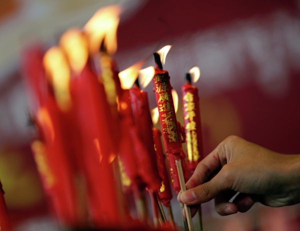 A Warm Welcome to the Blue Sheep: World Celebrates Chinese New Year 2015 - Sputnik International