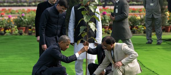 Obama and the tree Obama and the tree - Sputnik International