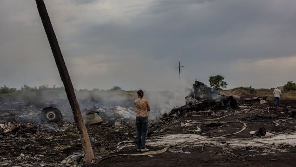 The crash site of the Malaysian Boeing 777 outside Shakhtyorsk, Donetsk Region The crash site of the Malaysian Boeing 777 outside Shakhtyorsk, Donetsk Region - Sputnik International