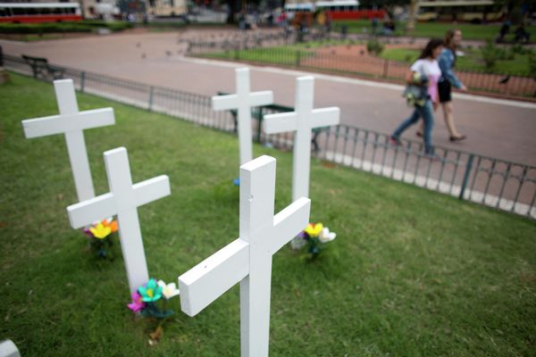 Crosses marking the 32nd anniversary of the start of the Falklands conflict. Crosses marking the 32nd anniversary of the start of the Falklands conflict. - Sputnik International