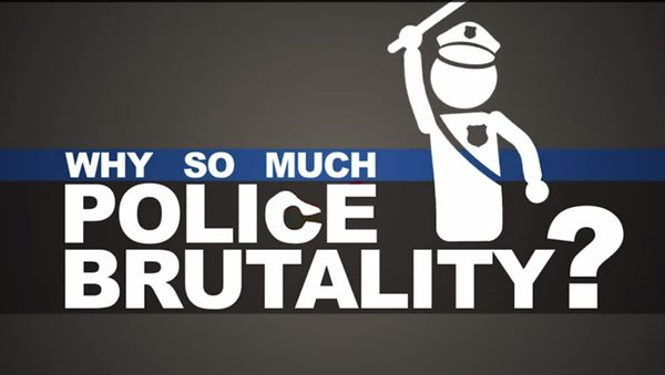 Screen shot from YouTube video by Officer Joe Snuffy Screen shot from YouTube video by Officer Joe Snuffy - Sputnik International