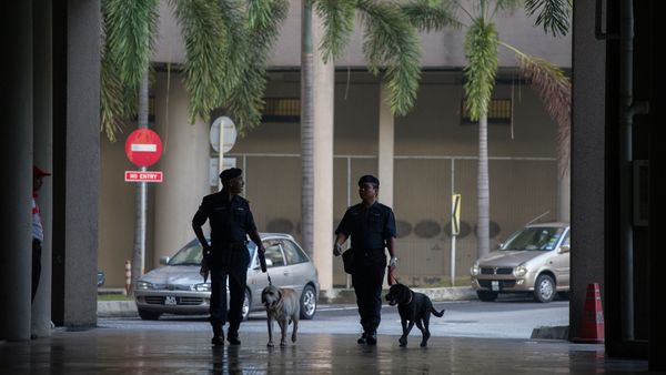 Dogs from the Malaysian Police K-9 unit join officers on patrol before the arrival of Malaysian opposition leader Anwar Ibrahim for his legal case against Malaysian Foreign Minister Anifah Aman at the Duta court complex in Kuala Lumpur Dogs from the Malaysian Police K-9 unit join officers on patrol before the arrival of Malaysian opposition leader Anwar Ibrahim for his legal case against Malaysian Foreign Minister Anifah Aman at the Duta court complex in Kuala Lumpur - Sputnik International