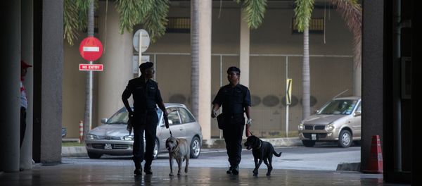 Dogs from the Malaysian Police K-9 unit join officers on patrol before the arrival of Malaysian opposition leader Anwar Ibrahim for his legal case against Malaysian Foreign Minister Anifah Aman at the Duta court complex in Kuala Lumpur Dogs from the Malaysian Police K-9 unit join officers on patrol before the arrival of Malaysian opposition leader Anwar Ibrahim for his legal case against Malaysian Foreign Minister Anifah Aman at the Duta court complex in Kuala Lumpur - Sputnik International