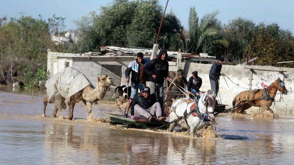 Palestinians ride horse carts as they evacuate their animals in the village of Al-Moghraga after it was flooded by rain water, near central Gaza Strip February 22, 2015. Palestinians ride horse carts as they evacuate their animals in the village of Al-Moghraga after it was flooded by rain water, near central Gaza Strip February 22, 2015. - Sputnik International