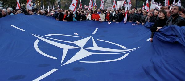 Demonstrators carry a huge banner with a NATO sign and Georgian national flags during a rally in Tbilisi Demonstrators carry a huge banner with a NATO sign and Georgian national flags during a rally in Tbilisi - Sputnik International