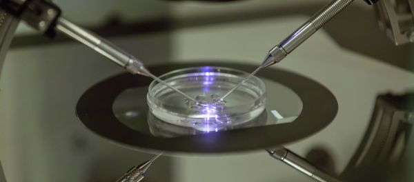 A petri dish at a fertility clinic in London A petri dish at a fertility clinic in London - Sputnik International