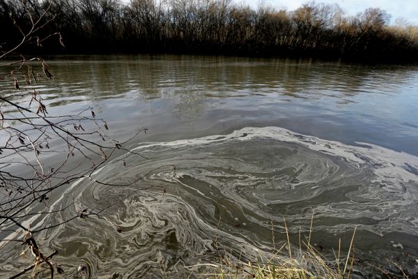 Signs of coal ash swirl in the water in the Dan River in Danville, Va. A year after the sudden collapse of an old drainage pipe triggered the third largest coal ash spill in U.S. history. - Sputnik International