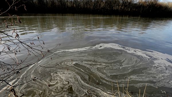 Water pollution - Sputnik International