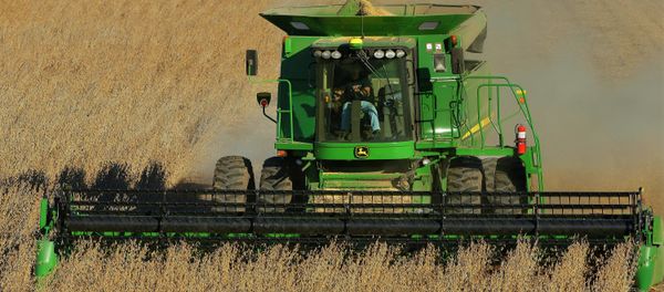 With grain prices falling - and farm profits along with them - some farmers are moving away from genetically modified crops to more lucrative conventional ones. With grain prices falling - and farm profits along with them - some farmers are moving away from genetically modified crops to more lucrative conventional ones. - Sputnik International