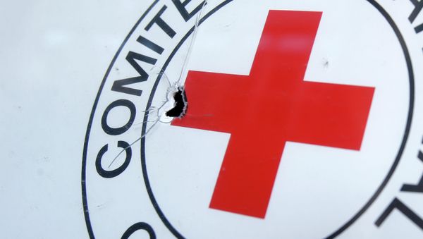 A bullet hole is seen on a sign, on a Red Cross office after shelling, in the town of Donetsk, eastern Ukraine A bullet hole is seen on a sign, on a Red Cross office after shelling, in the town of Donetsk, eastern Ukraine - Sputnik International