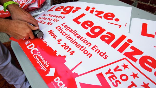 Adam Eidinger, chairman of the DC Cannabis Campaign, works on posters encouraging people to vote yes on DC Ballot Initiative 71 to legalize small amounts of marijuana for personal use, in Washington. - Sputnik International