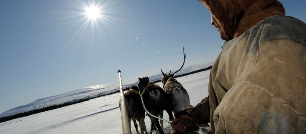Reindeer Herdsman's Day in village of Lovozero Reindeer Herdsman's Day in village of Lovozero - Sputnik International