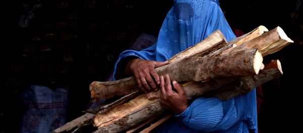 In this photograph taken on February 23, 2015, a burqa-clad Afghan woman carries chopped logs after buying them at a firewood yard in Herat In this photograph taken on February 23, 2015, a burqa-clad Afghan woman carries chopped logs after buying them at a firewood yard in Herat - Sputnik International