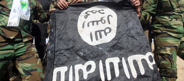 Volunteer Shiite fighters who supports the Iraqi government forces in the combat against the Islamic State (IS) group, hold a black Islamist flag allegedly belonging to IS militants in the village of Fadhiliyah, which pro-government forces retook from IS control the previous month, on the road leading to Fallujah, in Iraq's flashpoint Anbar province, southwest of Baghdad, on February 24, 2015. Volunteer Shiite fighters who supports the Iraqi government forces in the combat against the Islamic State (IS) group, hold a black Islamist flag allegedly belonging to IS militants in the village of Fadhiliyah, which pro-government forces retook from IS control the previous month, on the road leading to Fallujah, in Iraq's flashpoint Anbar province, southwest of Baghdad, on February 24, 2015. - Sputnik International