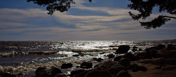 Shore of the Gulf of Finland in the resort area of St. Petersburg Shore of the Gulf of Finland in the resort area of St. Petersburg - Sputnik International