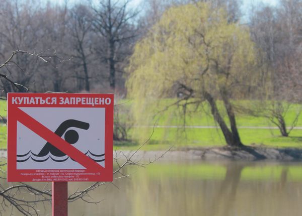 The Art of Nature: Russian Landscapes in Spring - Sputnik International