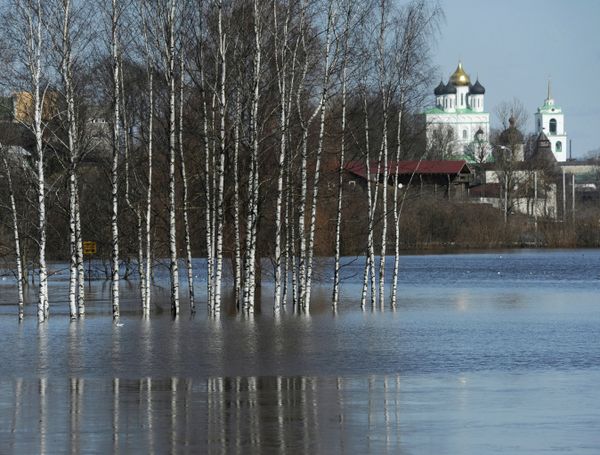The Art of Nature: Russian Landscapes in Spring - Sputnik International