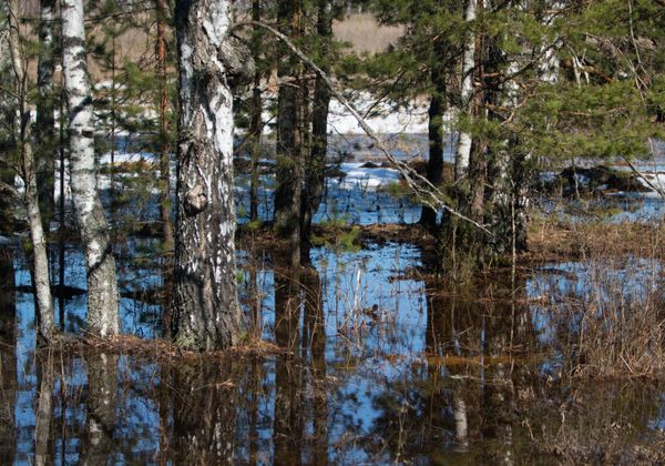 The Art of Nature: Russian Landscapes in Spring - Sputnik International
