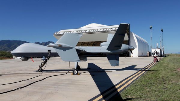 Predator B drone Predator B drone - Sputnik International
