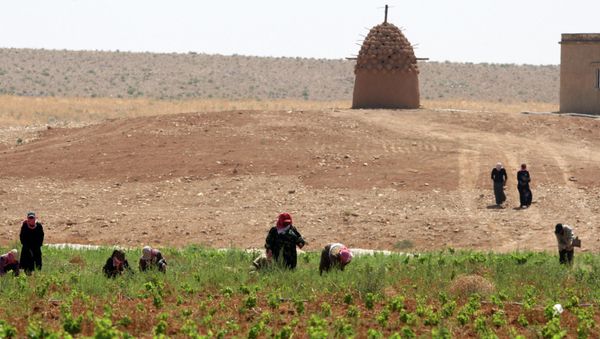 A study from climate scientists finds that droughts caused by climate change had a catalytic effect on the political unrest in Syria. A study from climate scientists finds that droughts caused by climate change had a catalytic effect on the political unrest in Syria. - Sputnik International