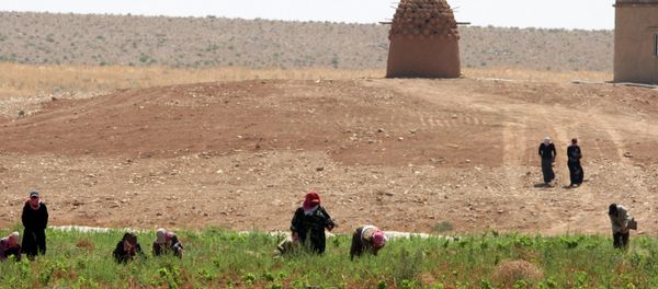 A study from climate scientists finds that droughts caused by climate change had a catalytic effect on the political unrest in Syria. - Sputnik International