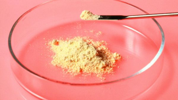 View of arsenic powder in a petri dish - Sputnik International