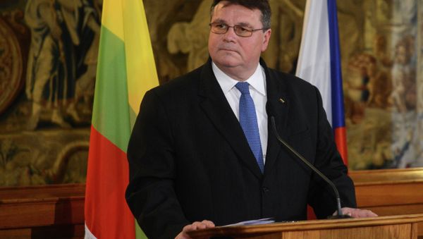 Lithuanian Foreign Minister Linas Linkevicius and his Czech counterpart (not in picture) give a joint press conference Lithuanian Foreign Minister Linas Linkevicius and his Czech counterpart (not in picture) give a joint press conference - Sputnik International