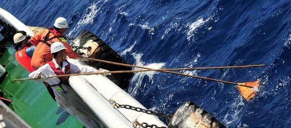 Members of the Chinese emergency response team on South China Sea Rescue 101 salvage floating object at the possible crash site of missing Malaysia Airlines flight MH370. - Sputnik International