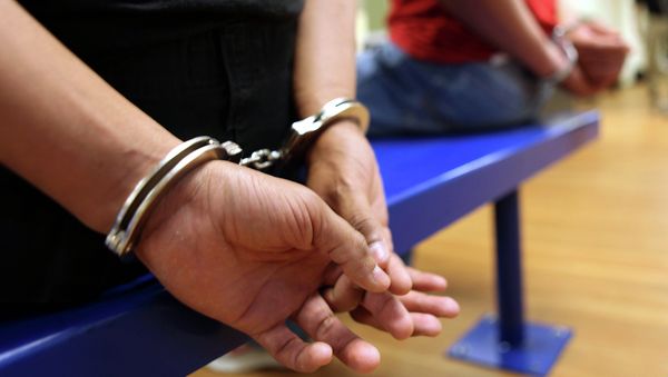 US Immigration and Customs Enforcement - Sputnik International