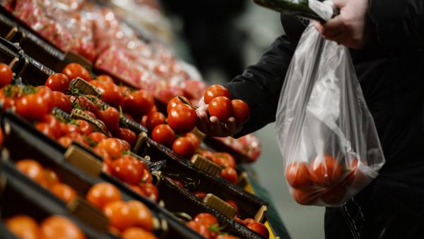 The list of agricultural products, which cannot be imported to Russia from Turkey from January 1, 2016, includes tomatoes, oranges, tangerines, apples, pears, grapes, salt and most poultry products. The list of agricultural products, which cannot be imported to Russia from Turkey from January 1, 2016, includes tomatoes, oranges, tangerines, apples, pears, grapes, salt and most poultry products. - Sputnik International