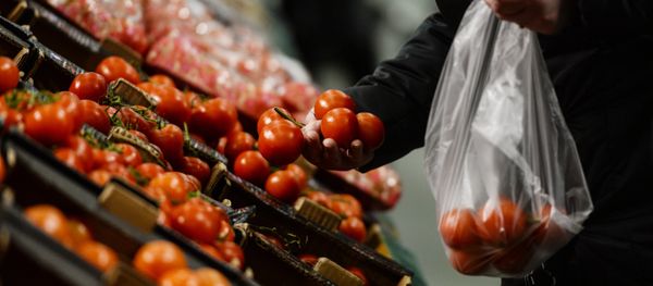 Person shopping tomatoes - Sputnik International