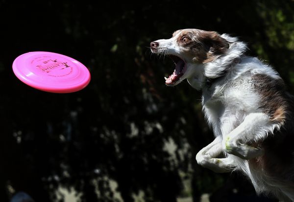 This Week in Pictures This Week in Pictures - Sputnik International