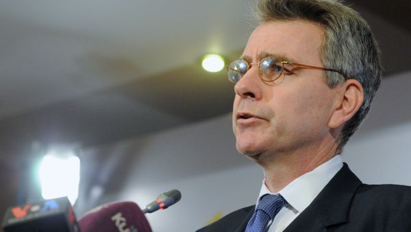 Briefing by U.S. Ambassador Geoffrey Pyatt - Sputnik International