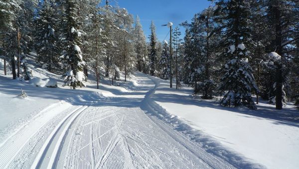 Ski Track Ski Track - Sputnik International