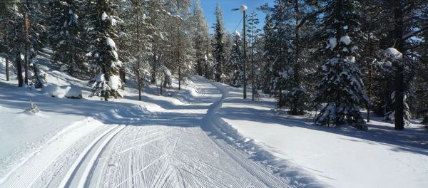 Ski Track Ski Track - Sputnik International