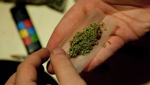 Marijuana - Sputnik International