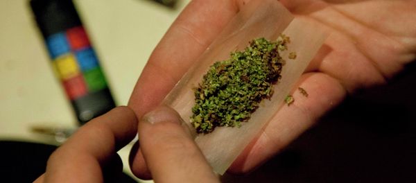 Marijuana - Sputnik International