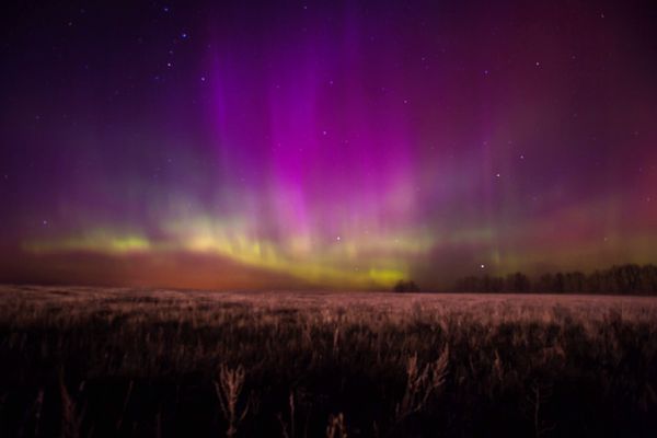 The northern lights, as seen in the Ryazan region of western Russia - Sputnik International
