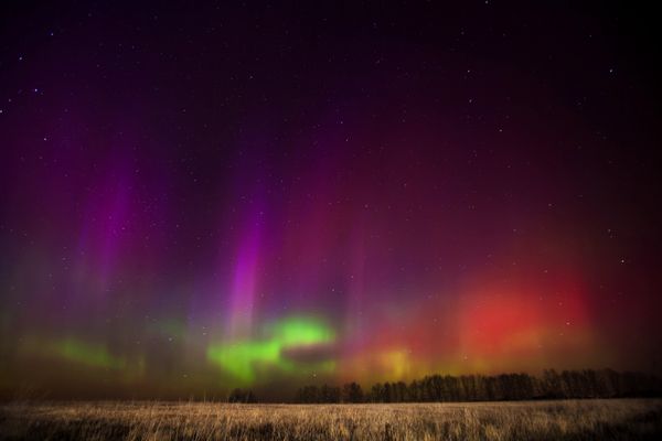 The northern lights, as seen in the Ryazan region of western Russia - Sputnik International